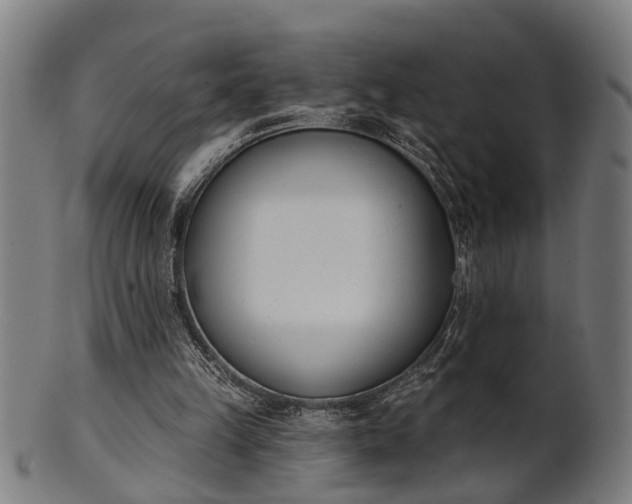 X0000101200149200807111017
