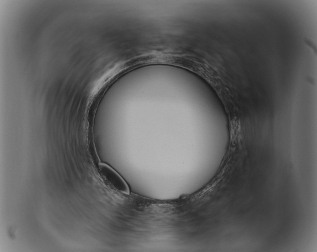 X0000101200150200807111017