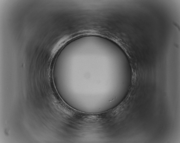 X0000101200151200807111017