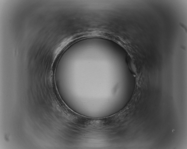 X0000101200152200807111017