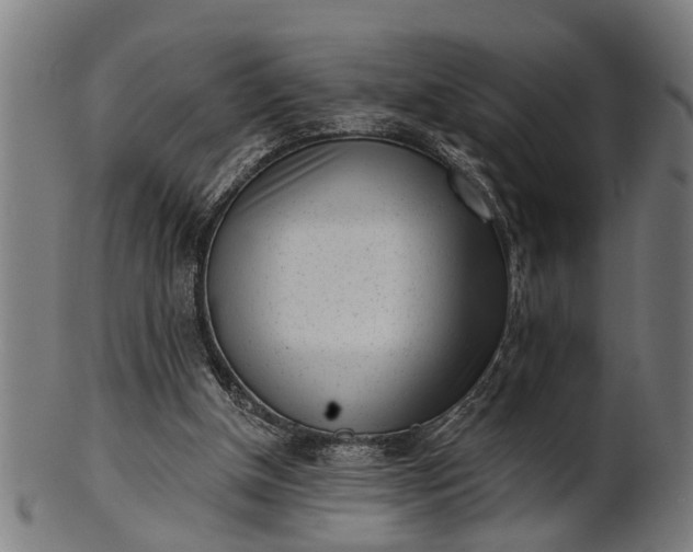 X0000101200154200807111018