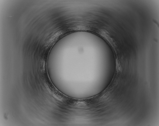X0000101200157200807111018