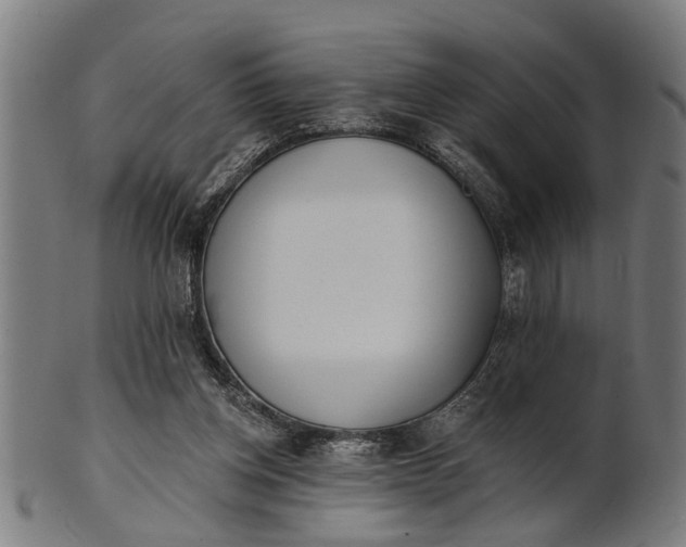 X0000101200158200807111018