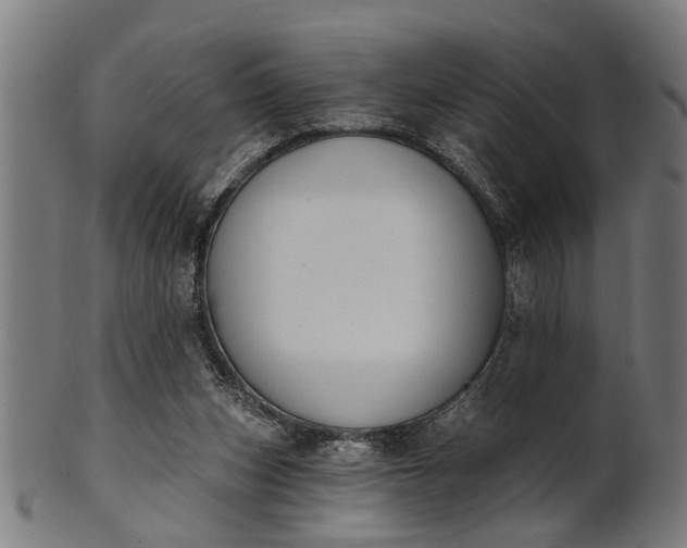 X0000101200159200807111018