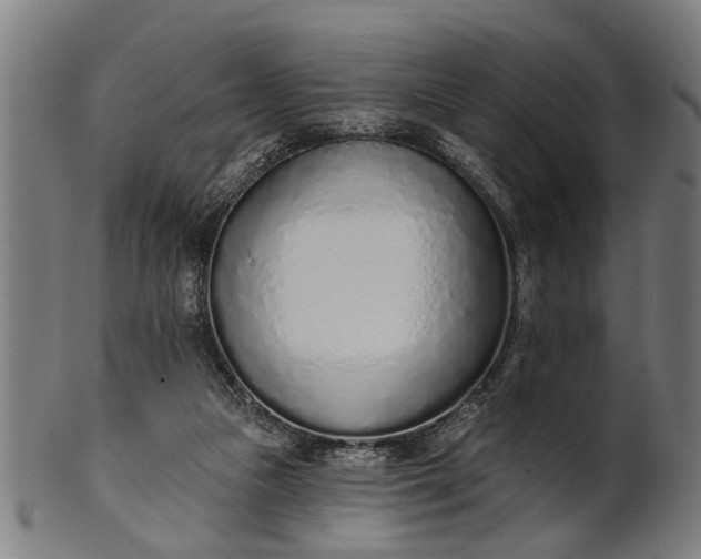 X0000101200161200807111018
