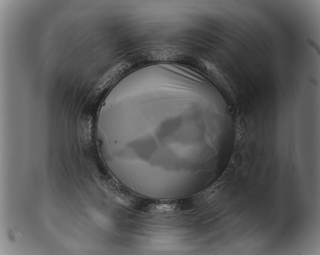 X0000101200163200807111018