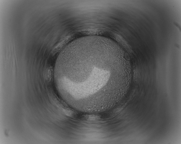 X0000101200165200807111018
