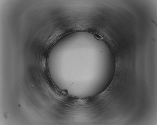 X0000101200166200807111018