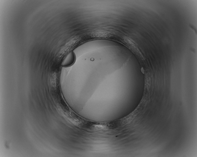 X0000101200167200807111018