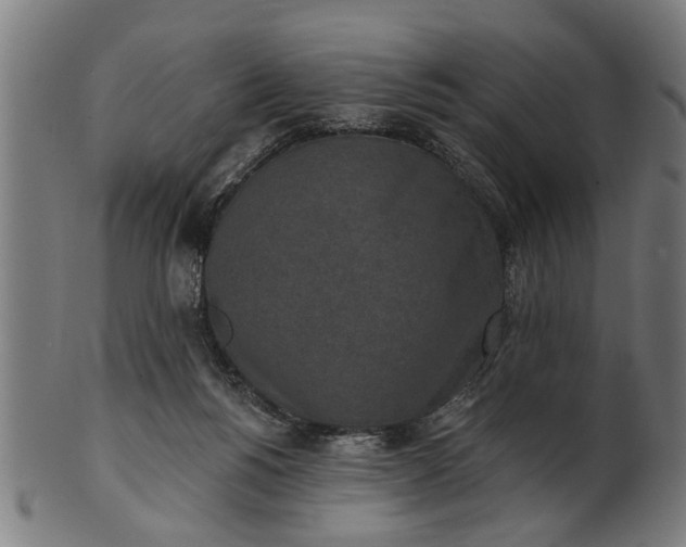 X0000101200168200807111018