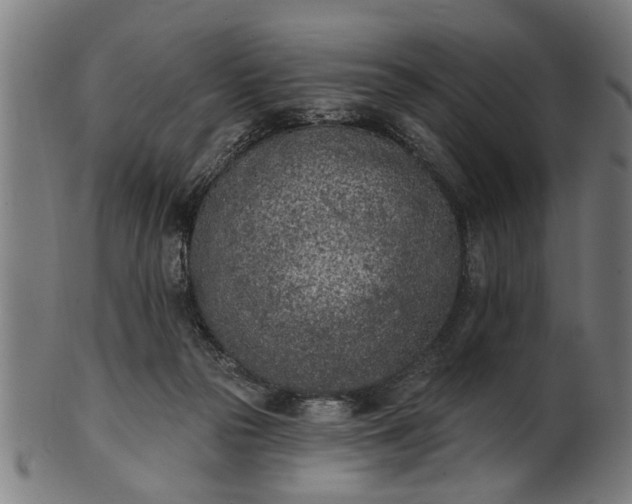 X0000101200169200807111018