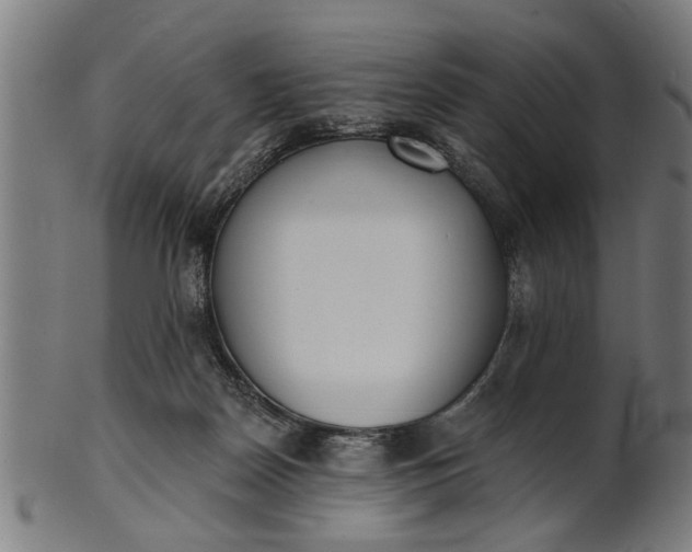 X0000101200170200807111018