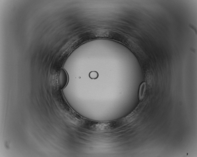 X0000101200172200807111018