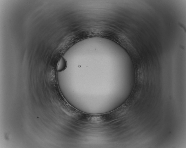 X0000101200173200807111018