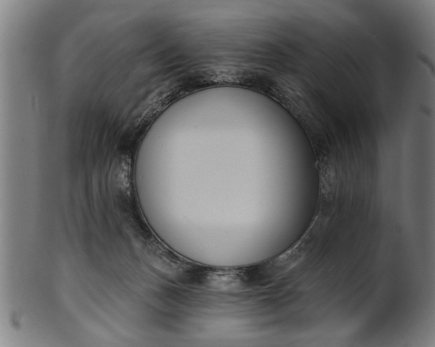 X0000101200175200807111018