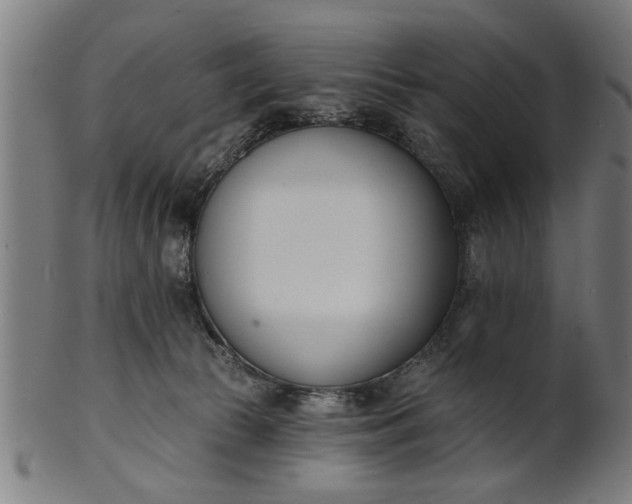 X0000101200177200807111018