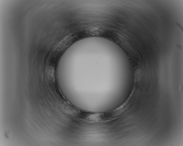 X0000101200178200807111018