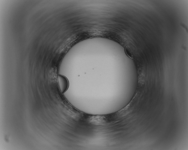 X0000101200179200807111018