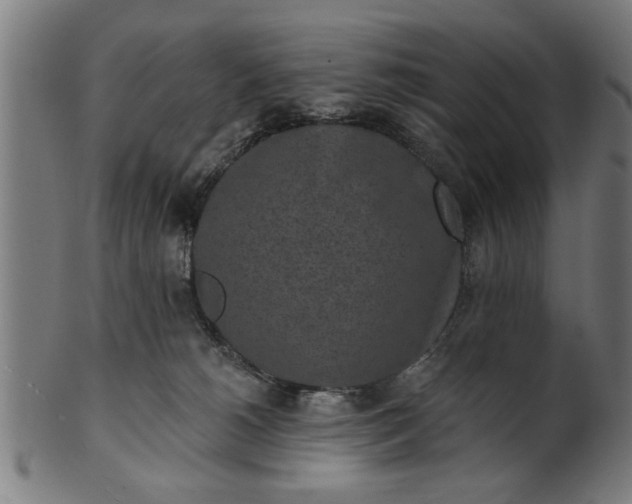 X0000101200180200807111018