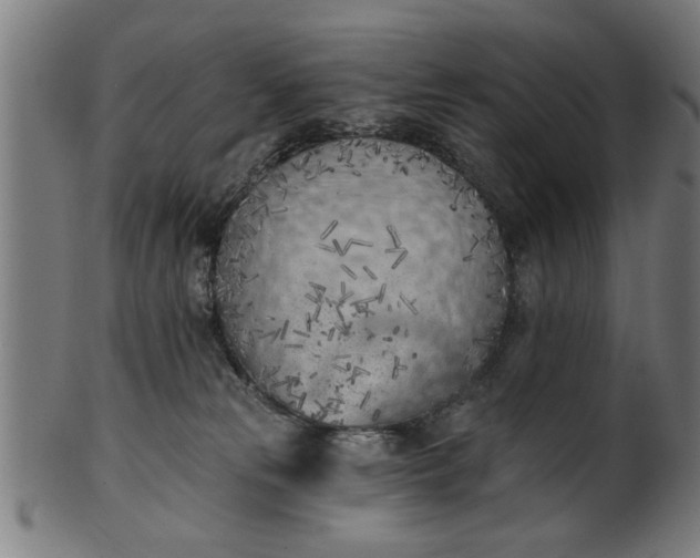 X0000101200181200807111018