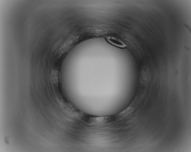 X0000101200184200807111018