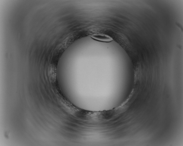X0000101200186200807111018