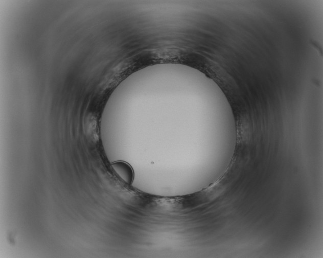 X0000101200187200807111018