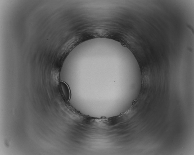 X0000101200188200807111018