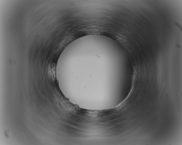 X0000101200190200807111018