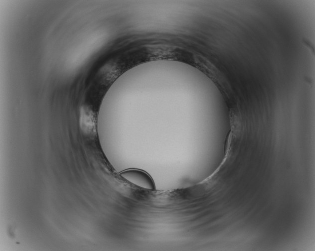 X0000101200191200807111018