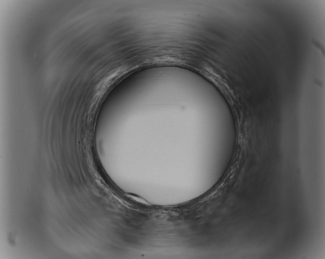 X0000101200193200807111017