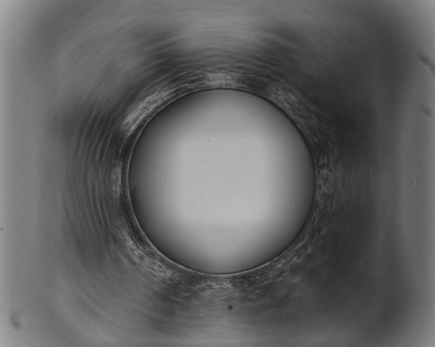 X0000101200194200807111017