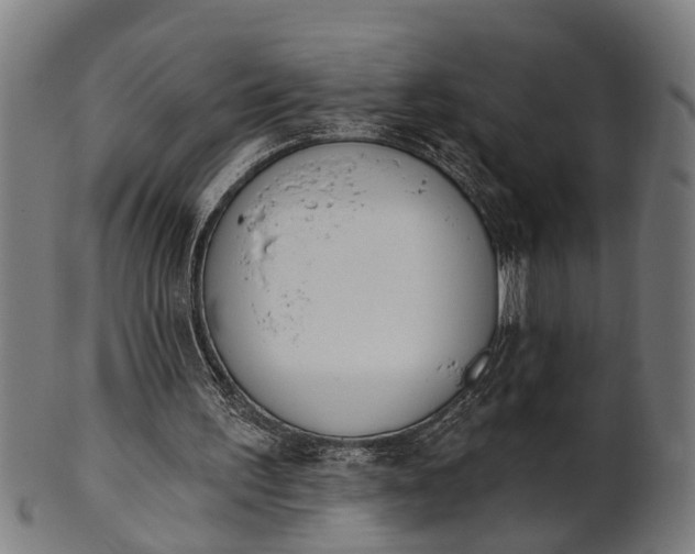 X0000101200195200807111017