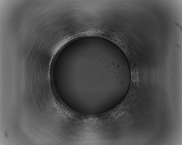 X0000101200196200807111017
