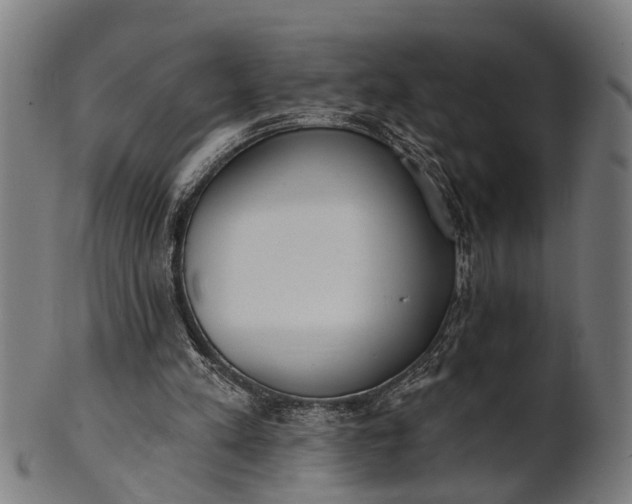 X0000101200197200807111017