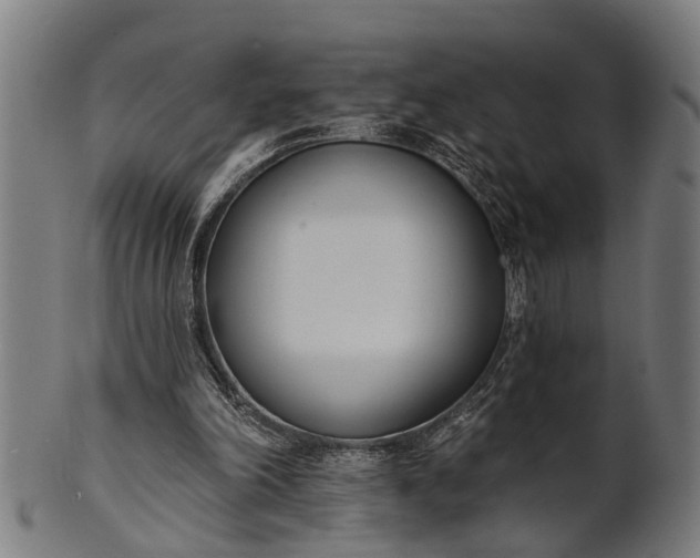 X0000101200198200807111017