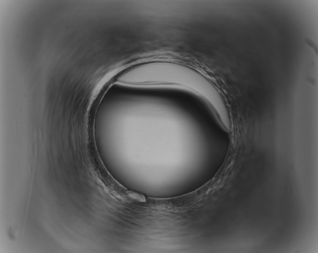 X0000101200200200807111017