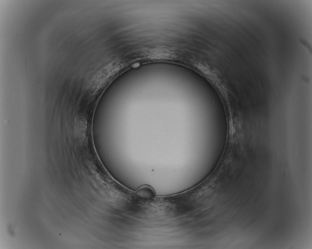 X0000101200201200807111017