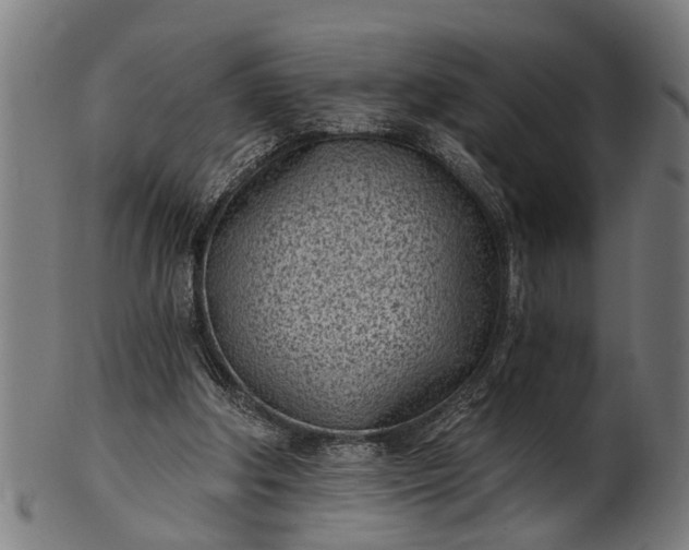 X0000101200202200807111017