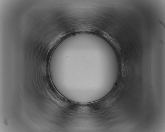 X0000101200203200807111017