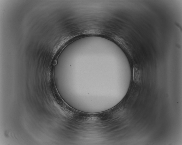 X0000101200204200807111017