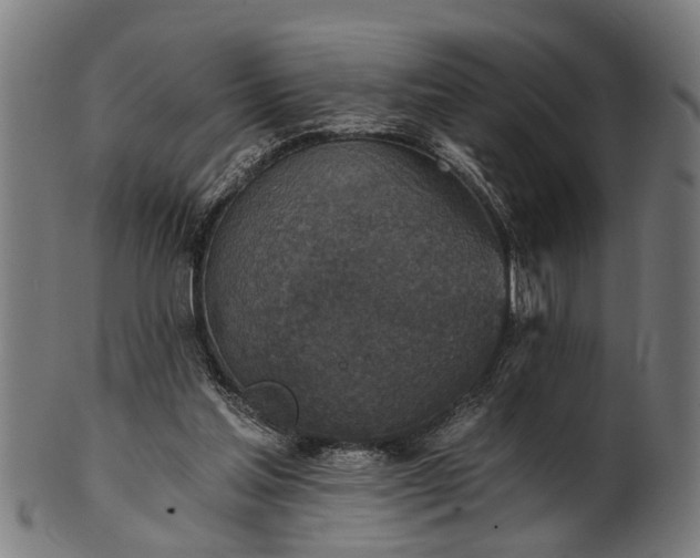 X0000101200205200807111017