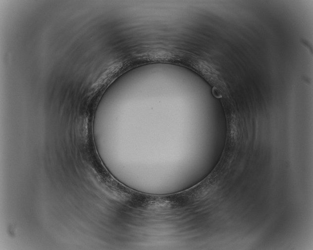 X0000101200206200807111017