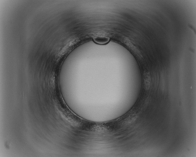 X0000101200207200807111017