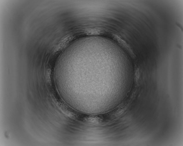 X0000101200209200807111017