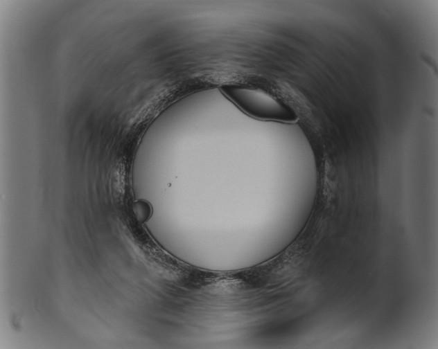 X0000101200210200807111017