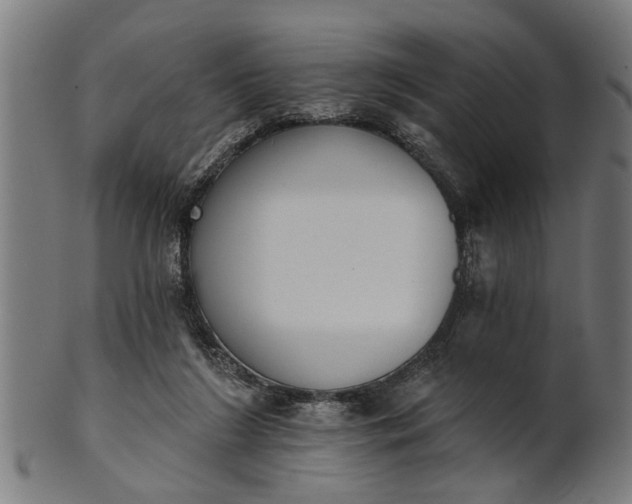 X0000101200212200807111017