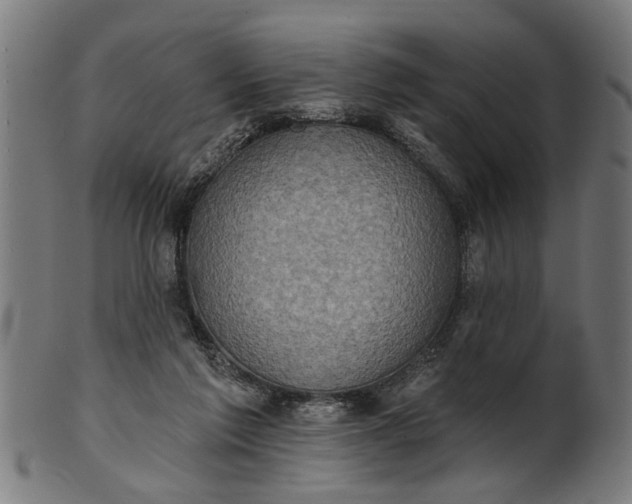 X0000101200213200807111017