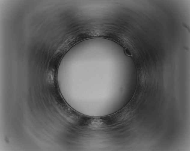 X0000101200214200807111017