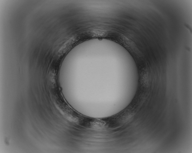 X0000101200215200807111017